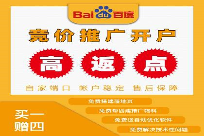 百度推广实战：成功企业的营销策略